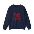 Small Town Darling Sweatshirt | Coquette Aesthetic, Soft Era Nostalgia