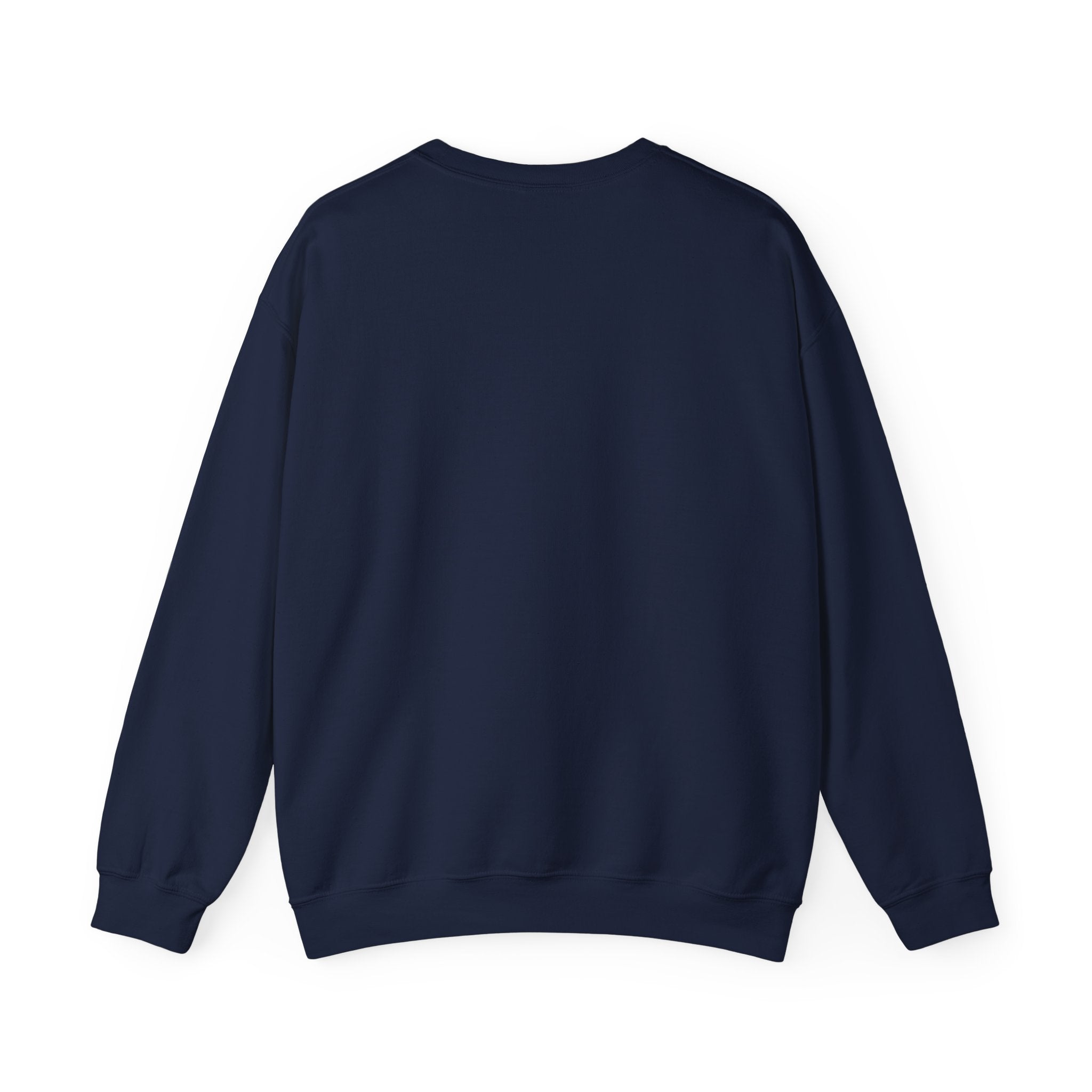 Small Town Darling Sweatshirt | Coquette Aesthetic, Soft Era Nostalgia